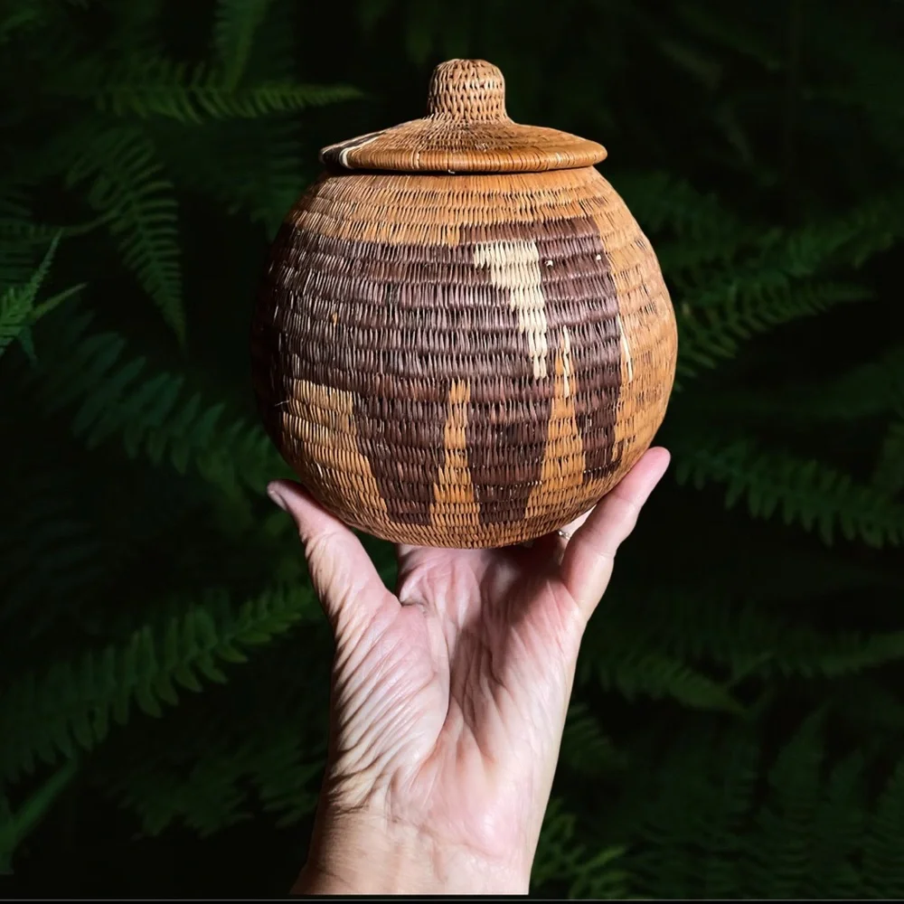 World Wild Life Yikote Elephants Handmade Grass Basket With Lid Botswana VGUC